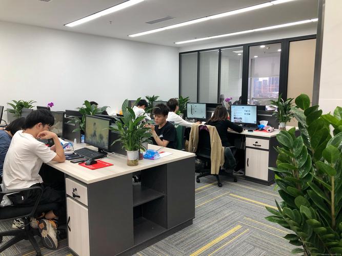 是一家信息咨询服务;教育咨询服务;自费出国留学中介服务;商务代理